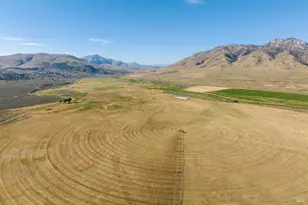 425 Constantia Rd, Doyle, CA 96109 - Photo 17