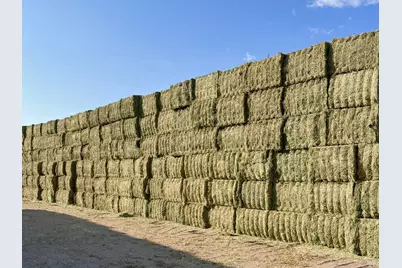 425 Constantia Road, Doyle, CA 96109 - Photo 7