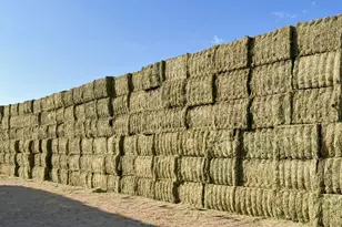 425 Constantia Rd, Doyle, CA 96109 - Photo 7