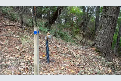 505 McNair Road, Cloverdale, CA 95425 - Photo 49