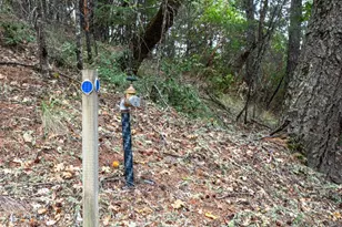 505 McNair Rd, Cloverdale, CA 95425 - Photo 49