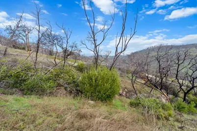 8 Live Oak Lane, Napa, CA 94558 - Photo 19