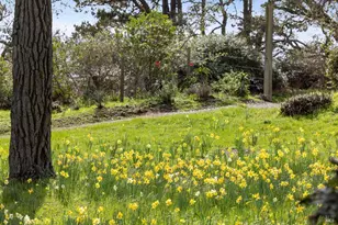 1208 Pierce Point Rd, Inverness, CA 94937 - Photo 81