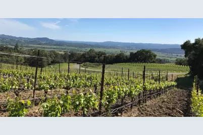 577 Artisan Circle, Geyserville, CA 95441 - Photo 37