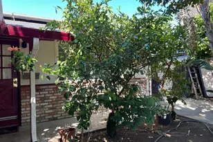 1831 Clay St, Fairfield, CA 94533 - Photo 23