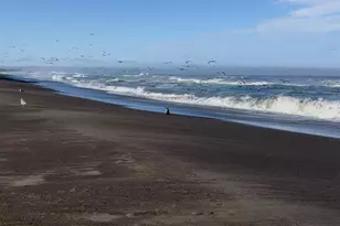 14920 Mallo Pass Dr, Irish Beach, CA 95459 - Photo 37