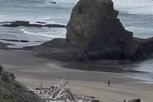 14920 Mallo Pass Dr, Irish Beach, CA 95459 - Photo 43