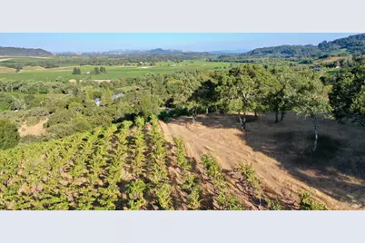 6225 W Dry Creek Road, Healdsburg, CA 95448 - Photo 47