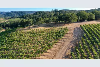 6225 W Dry Creek Road, Healdsburg, CA 95448 - Photo 33