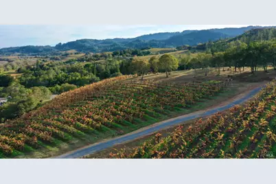 6225 W Dry Creek Road, Healdsburg, CA 95448 - Photo 5