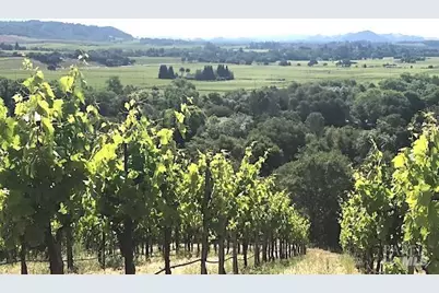 6225 W Dry Creek Road, Healdsburg, CA 95448 - Photo 25