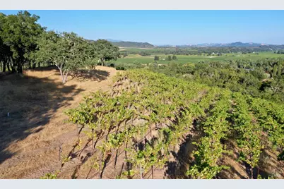 6225 W Dry Creek Road, Healdsburg, CA 95448 - Photo 37