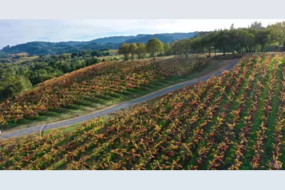 6225 W Dry Creek Road, Healdsburg, CA 95448 - Photo 19