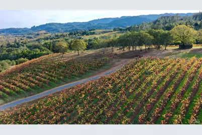 6225 W Dry Creek Road, Healdsburg, CA 95448 - Photo 11