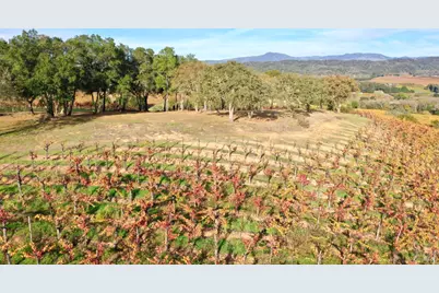 6225 W Dry Creek Road, Healdsburg, CA 95448 - Photo 87