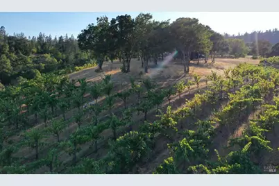 6225 W Dry Creek Road, Healdsburg, CA 95448 - Photo 51