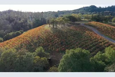 6225 W Dry Creek Road, Healdsburg, CA 95448 - Photo 85