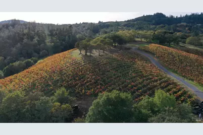 6225 W Dry Creek Road, Healdsburg, CA 95448 - Photo 59