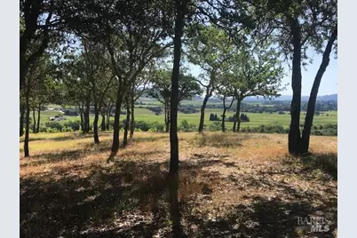 6225 W Dry Creek Road, Healdsburg, CA 95448 - Photo 21