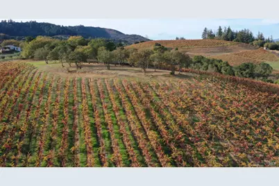 6225 W Dry Creek Road, Healdsburg, CA 95448 - Photo 61