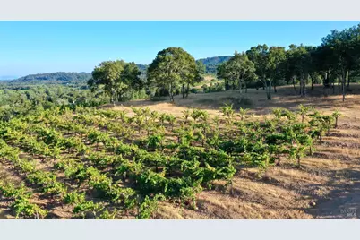 6225 W Dry Creek Road, Healdsburg, CA 95448 - Photo 49