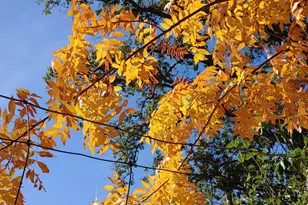 4104 St Helena Hwy, Calistoga, CA 94515 - Photo 41