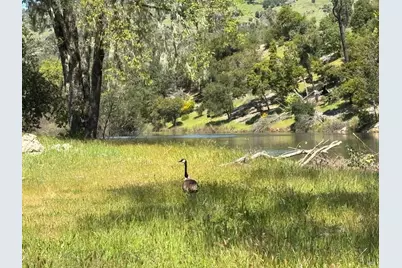 1218 Bennett Lane, Calistoga, CA 94515 - Photo 9
