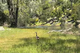 1218 Bennett Ln, Calistoga, CA 94515 - Photo 9