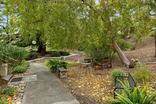 3473 Tice Creek Dr, Walnut Creek, CA 94595 - Photo 21