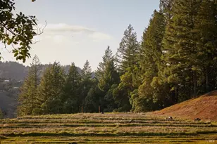 8450 Orr Springs Rd, Ukiah, CA 95482 - Photo 51