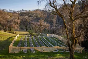 8450 Orr Springs Rd, Ukiah, CA 95482 - Photo 53