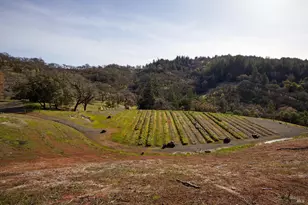 8450 Orr Springs Rd, Ukiah, CA 95482 - Photo 47