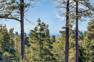 40695 Roseman Creek Rd, Gualala, CA 95445 - Photo 71