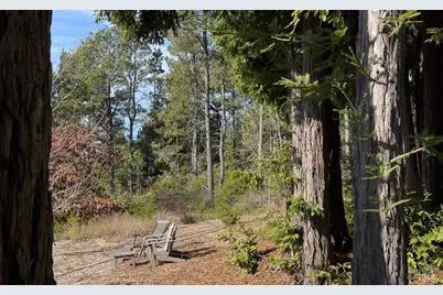 40695 Roseman Creek Road, Gualala, CA 95445 - Photo 69