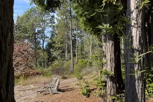 40695 Roseman Creek Rd, Gualala, CA 95445 - Photo 69