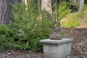 40695 Roseman Creek Rd, Gualala, CA 95445 - Photo 67