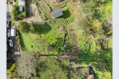 123 Cornelia Avenue, Mill Valley, CA 94941 - Photo 3