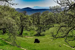 100 Longhorn Ridge Rd, Napa, CA 94558 - Photo 57