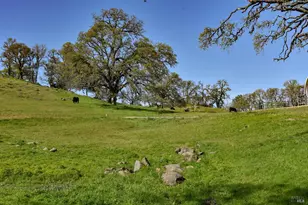 100 Longhorn Ridge Rd, Napa, CA 94558 - Photo 53