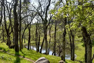 100 Longhorn Ridge Rd, Napa, CA 94558 - Photo 55