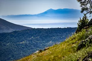 100 Longhorn Ridge Rd, Napa, CA 94558 - Photo 51