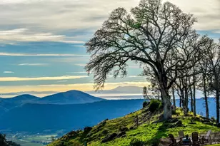 100 Longhorn Ridge Rd, Napa, CA 94558 - Photo 3