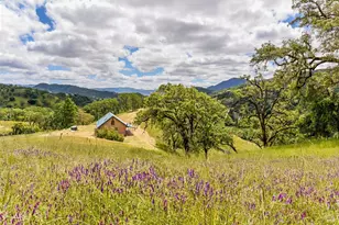 4610 Feliz Creek Rd, Hopland, CA 95449 - Photo 49