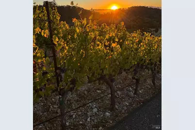 2900 Spring Mountain Road, Saint Helena, CA 94574 - Photo 55