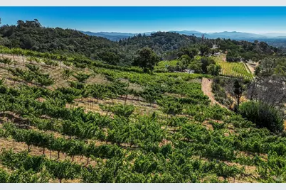 2900 Spring Mountain Road, Saint Helena, CA 94574 - Photo 49