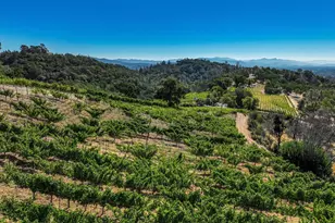 2900 Spring Mountain Rd, Saint Helena, CA 94574 - Photo 49