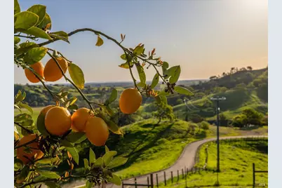8725 Quail Canyon Road, Vacaville, CA 95688 - Photo 5