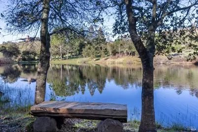 2300 Old Soda Springs Road, Napa, CA 94558 - Photo 7