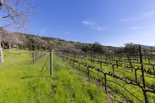 2300 Old Soda Springs Rd, Napa, CA 94558 - Photo 7