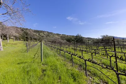 2300 Old Soda Springs Road, Napa, CA 94558 - Photo 9